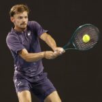 david goffin alcaraz