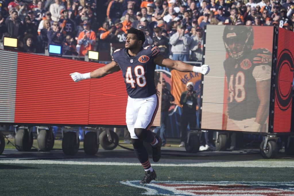 d'marco jackson bears