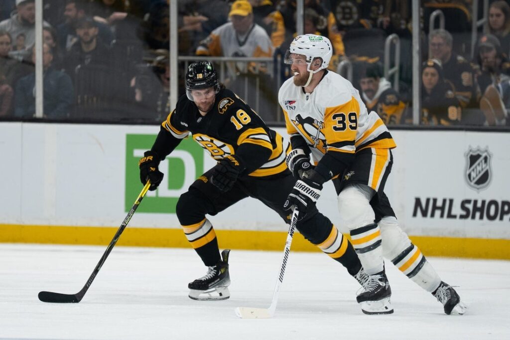 penguins bruins 2026