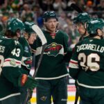 Minnesota Wild