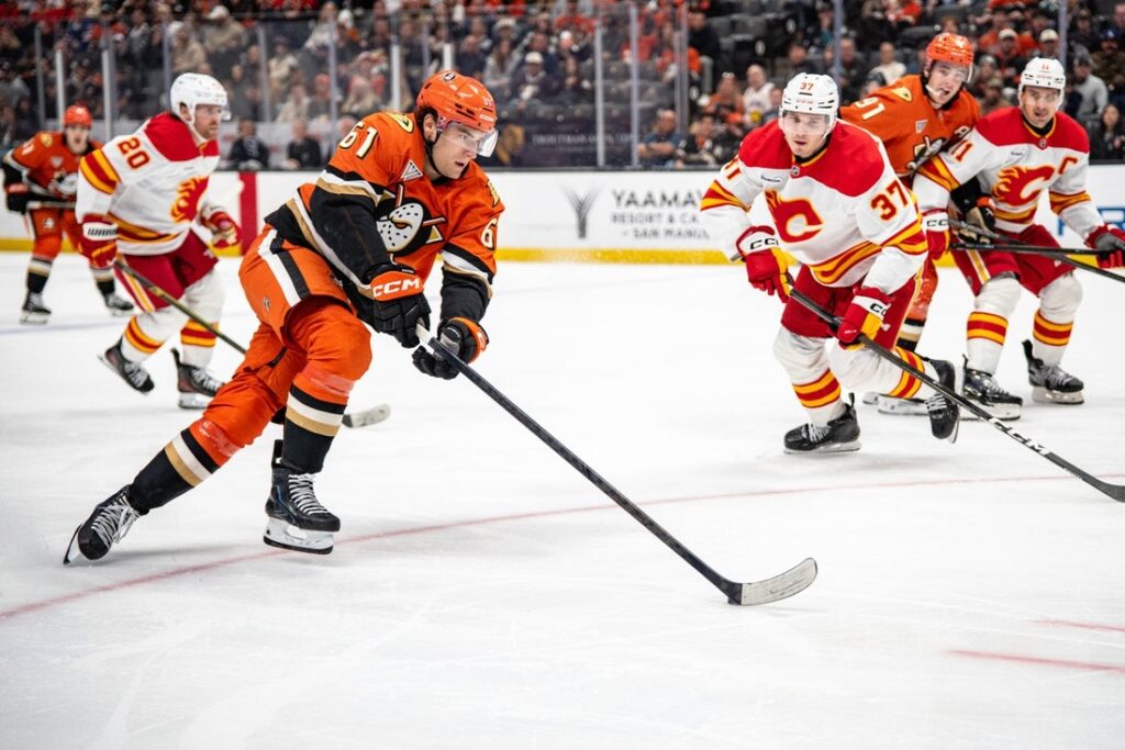 anaheim ducks, Cutter Gauthier