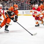 anaheim ducks, Cutter Gauthier