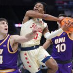 Northern Iowa panther