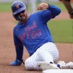 mike tauchman, mets
