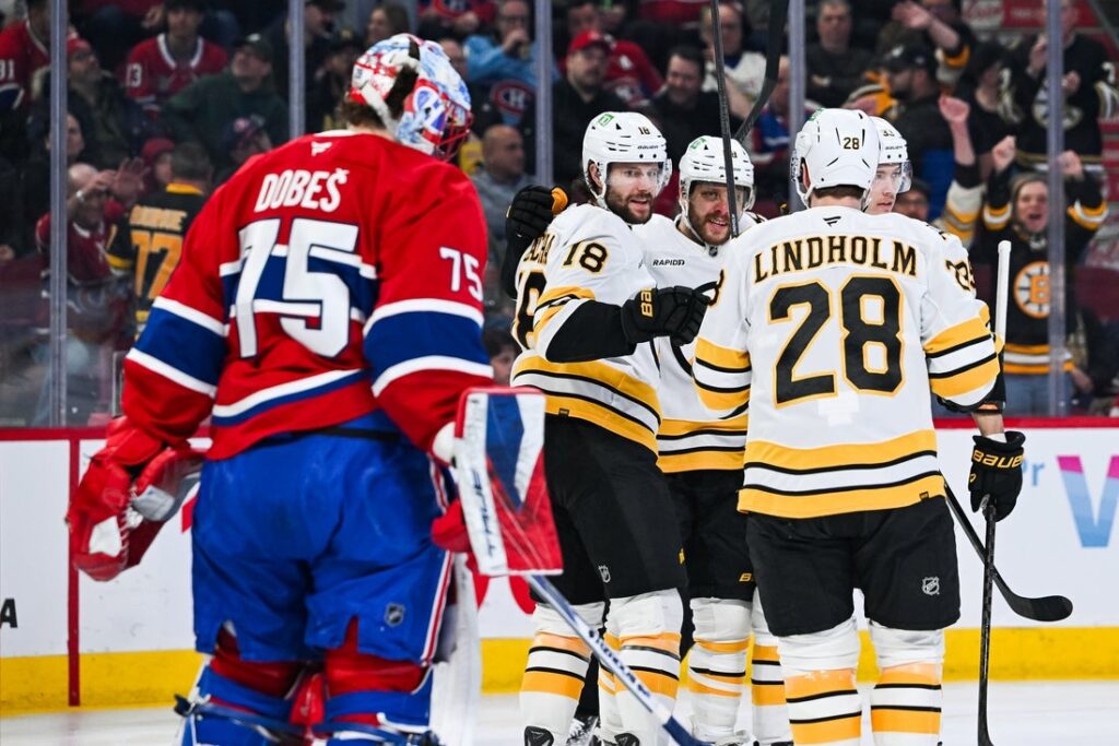 Bruins, Canadiens, Zacha