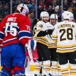 Bruins, Canadiens, Zacha