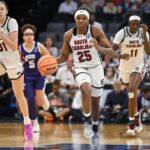 south carolina, horned frogs