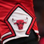 chicago bulls logo