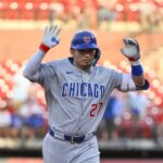 seiya suzuki cubs react