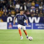 nicolas fernandez new york