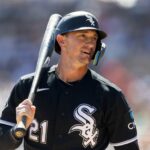 austin hays white sox