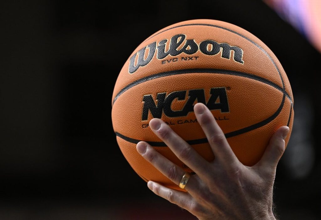 wilson basketballs general view