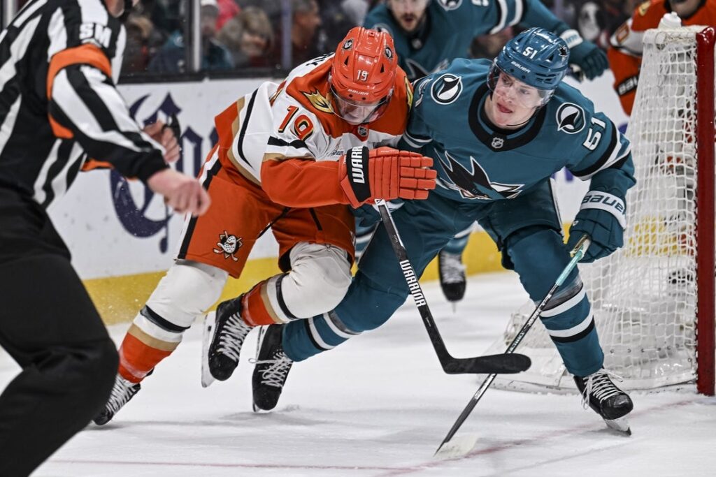 sharks ducks