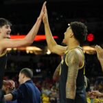 michigan wolverines, mara