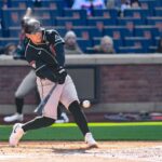 arizona diamondbacks