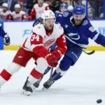 erik cernak red wings