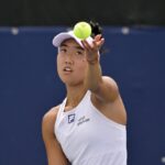ann li serve