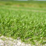 FIFA grass