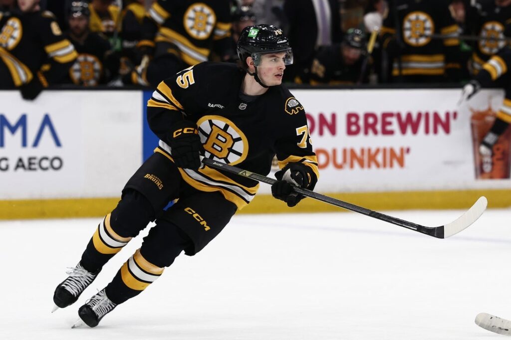 lukas reichel bruins