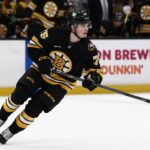 lukas reichel bruins