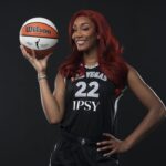 a'ja wilson