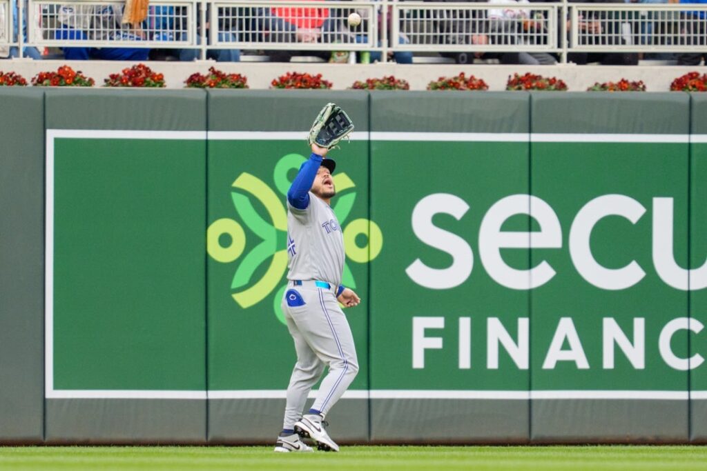 blue jays