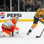 ducks, knights
