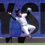 Jasson Dominguez