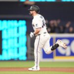 marlins