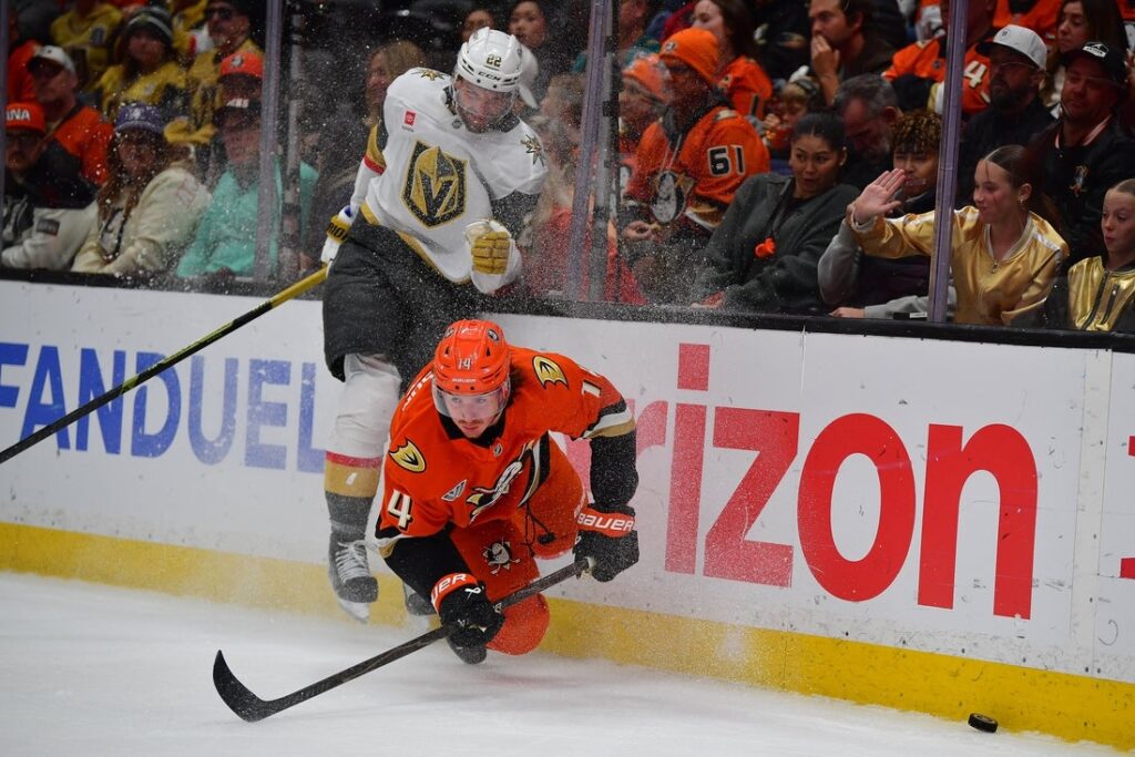 Ducks, Golden Knights