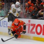 Ducks, Golden Knights
