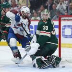 Avalanche, Wild