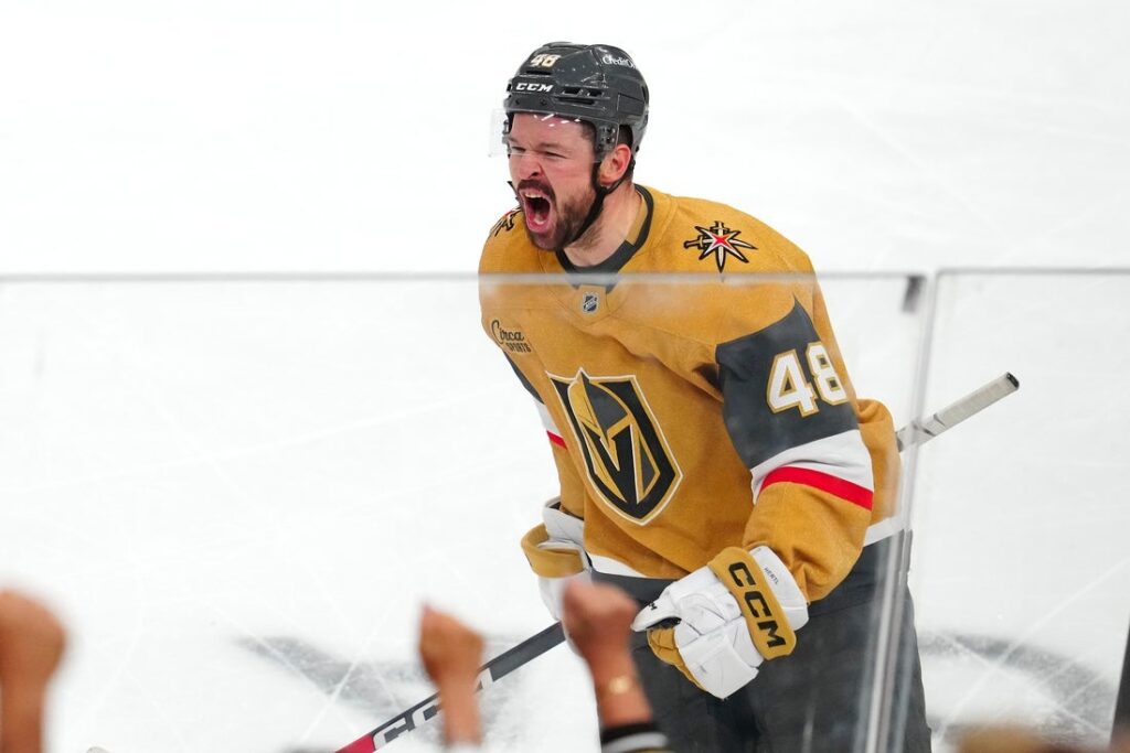knights, ducks
