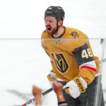 knights, ducks