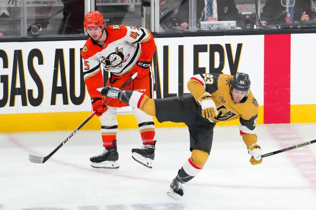 knights, ducks