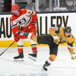 knights, ducks