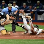 marlins rays