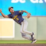 brewers