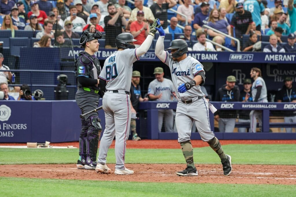 marlins, rays