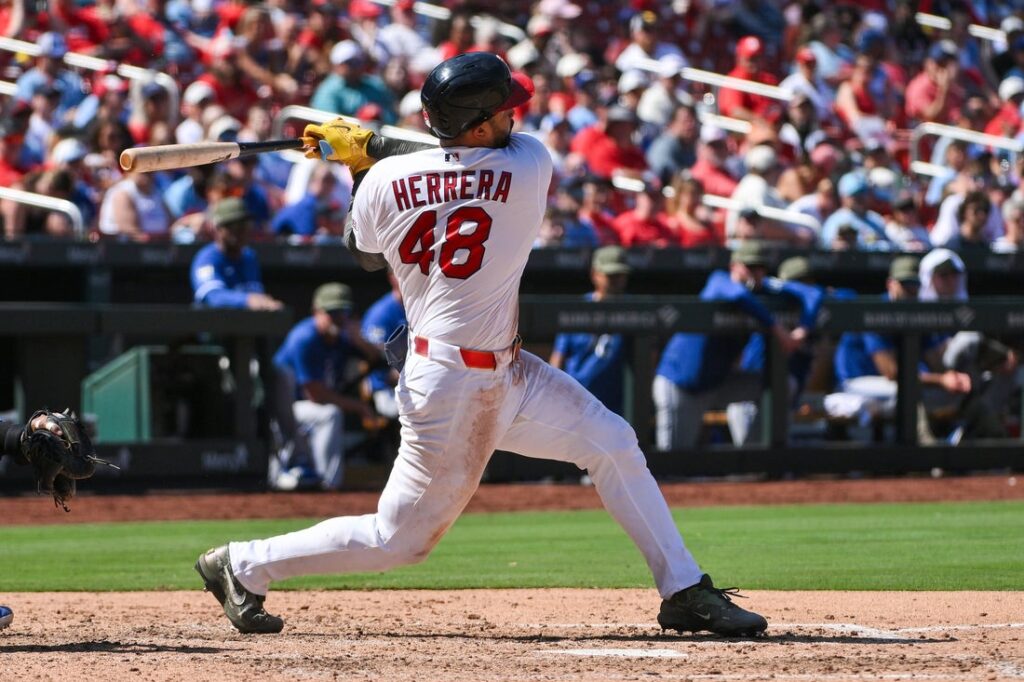 st. louis cardinals