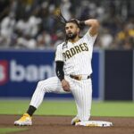 fernando tatis jr