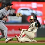 tigers, orioles
