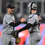 detroit tigers