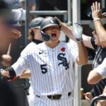 Twins, White Sox