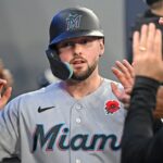 marlins