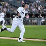White Sox, minnesota twins