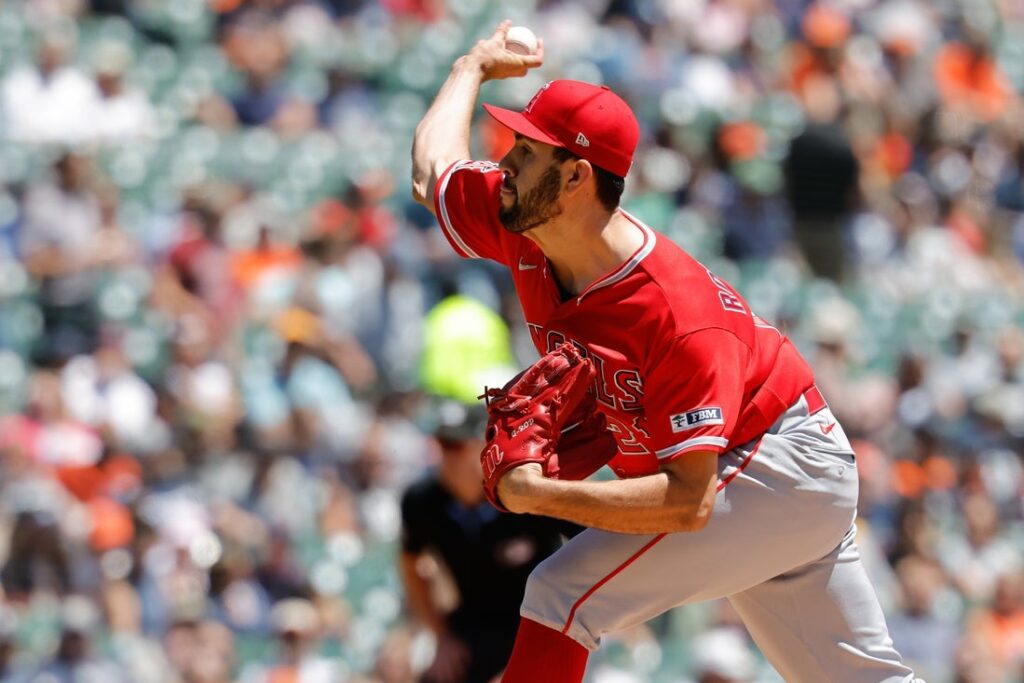 angels tigers