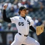 twins white sox