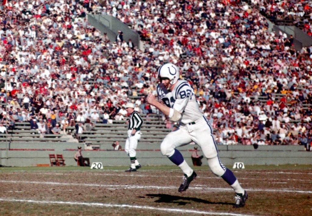 raymond berry colts