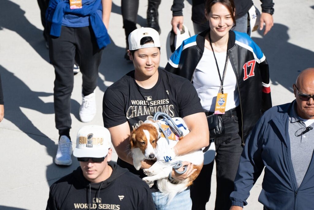 shohei ohtani decoy dog